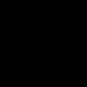 Meet your Posher, Shana